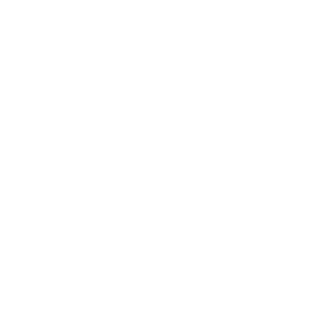 Security Advisors